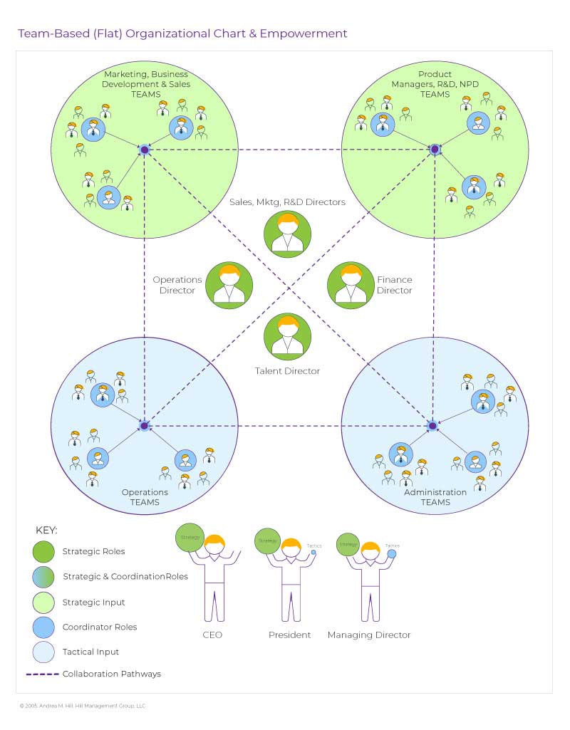 Basic Models Team Management Structure